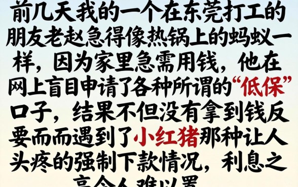 小红猪强制下款，概括五个征信不好负债高的口子