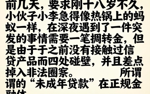 未成年贷款 软件，整合五个无视黑白100%秒下网贷小额夜间口子