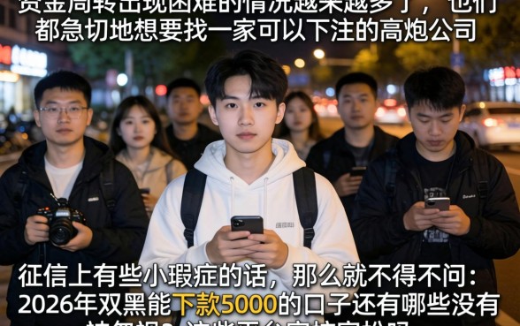 晚上能下的高炮口子，概括五个无视双黑下款5000的口子