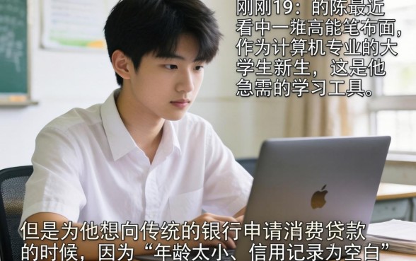 能下载款的分期口子，胪列5个19岁贷款容易过审批的平台