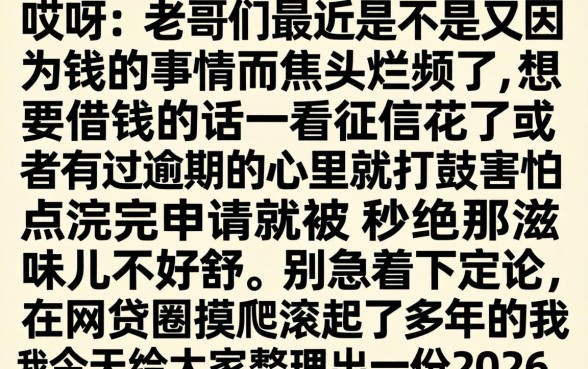 2026年微信5月能下款的口子，条列5个贷款10万比较容易的软件
