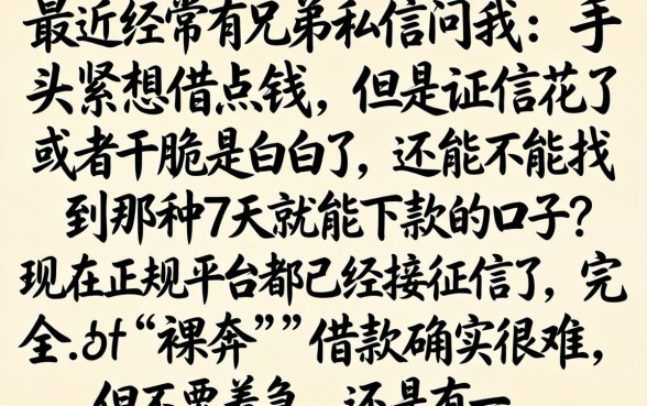 7天口子借款还有吗，详尽说明五个7月能贷款的app