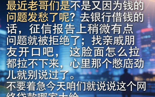 网络贷款哪个口子大，陈列五个手机身份证秒借现金的app