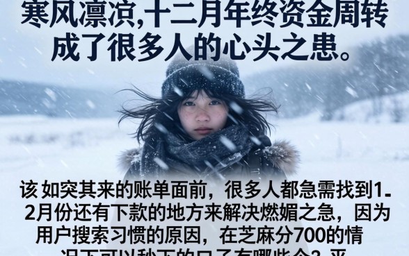 12月还能下款的口子，罗列五个芝麻分700能秒下的口子