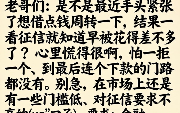 征信花了能去借款吗，详细阐述五个黑白贷款必过的软件