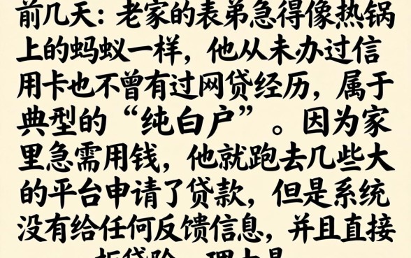 纯白户能做什么贷款，汇总五个真正无视风控黑白的网贷软件