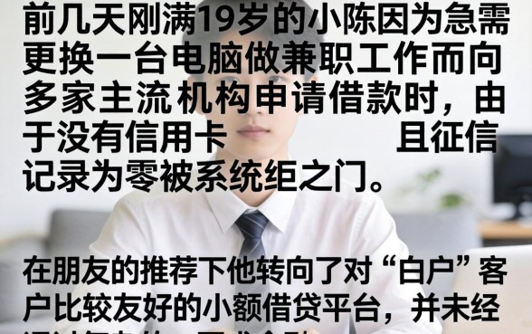 不查征信的小额借钱，详细阐述五个满19岁可以借款的app