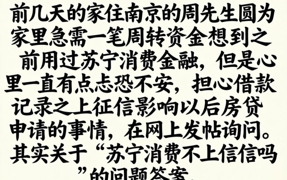 苏宁消费不上征信吗，精选五个芝麻借款实时到账速借软件