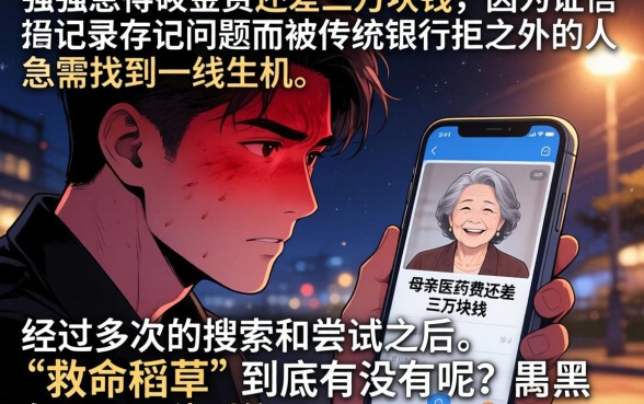 好下的小贷下款口子，精选五个黑户急需三万秒到的的口子