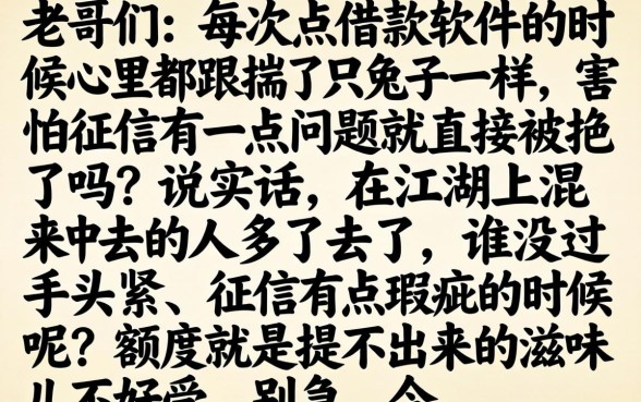 贷款审核流水看什么，归集5个黑户贷款的口子必下app