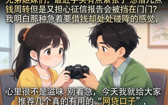 小额贷款好用的软件，陈列5个有逾期借款容易通过的软件