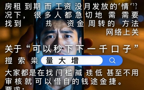 可以秒下一千的口子，详细阐述五个可以借钱不用审核的app