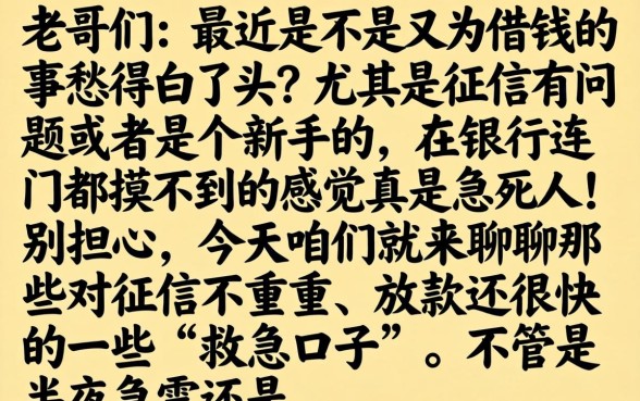 借2000必下的口子，条列五个夜间秒下款的14天口子