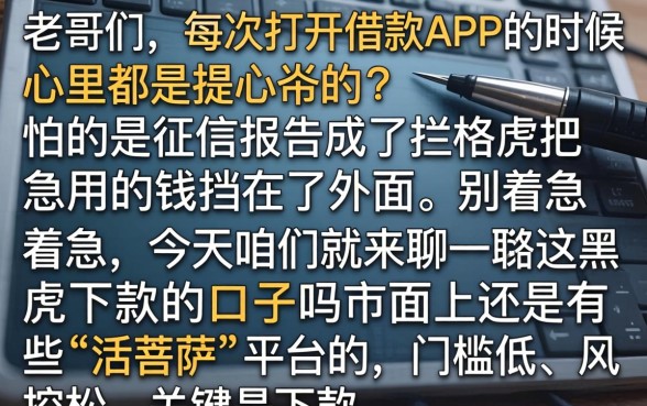 黑户下款的口子吗，梳理5个网贷口子风控不严的app