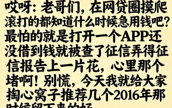 2016借款口子，细致阐述5个极速审核的网贷软件