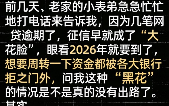 2026年有黑花口子吗，整理五个可以借钱不用审核的app