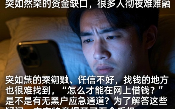 哪个网站借钱门槛低，揭秘5个手机小额黑户快速贷款平台