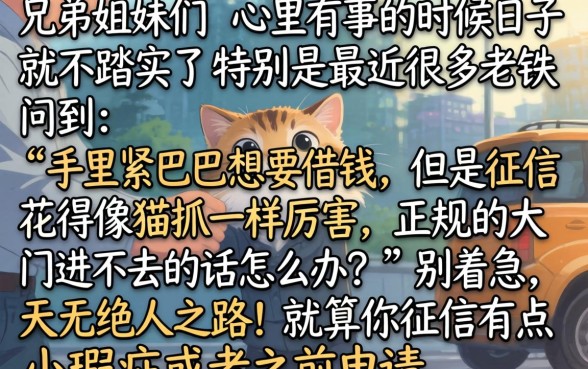 车贷款项到账后，细致阐述5个对征信宽松的网贷平台