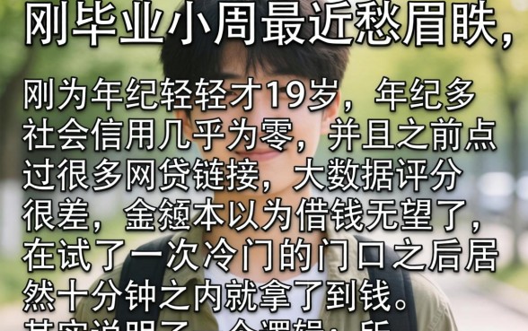 不看评分的借款平台，深入剖析5个19岁贷款容易过审批的平台