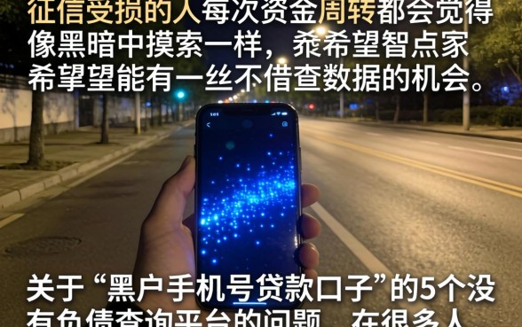 黑户手机号贷款口子，深入剖析5个不看负债查询的平台