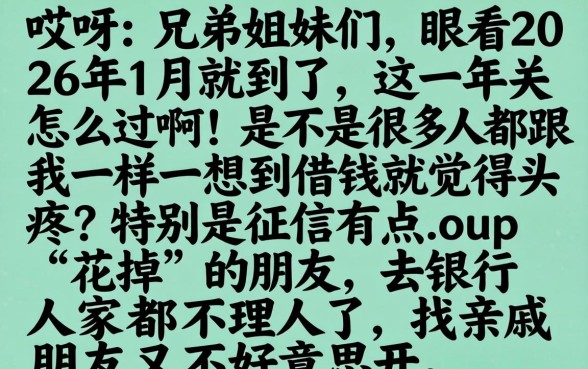 2026年1月借款口子，揭秘5个无视黑白100%秒下网贷小额夜间口子