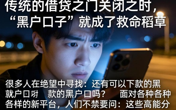 能下款的黑户口子，汇总五个高能分期贷款平台新秀