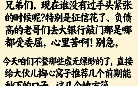 给前期能秒下的口子，深入剖析五个不看负债的长期网贷app