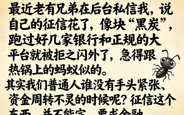 黑花借款口子新型，归纳5个19岁贷款容易过审批的口子