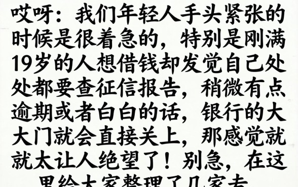 19岁青年如何快速申请到网贷，汇整5个超级烂户双黑下款口子