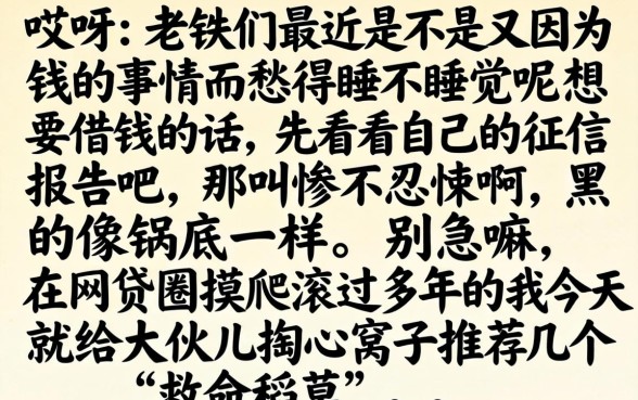 一年内通过中级会计，梳理5个无视征信黑白100%秒下软件