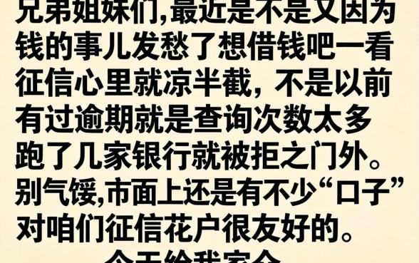 有哪些好的借贷平台，概览5个无视一切是人就下款口子