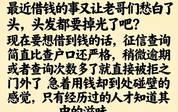 有哪些黑花口子的药，规整五个失信人员可以借钱的网贷口子