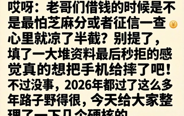 2026年无视芝麻分的口子，汇总5个轻松贷10万的软件