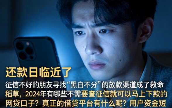 在线借贷平台哪个好，概括5个无视黑白100%秒下网贷口子