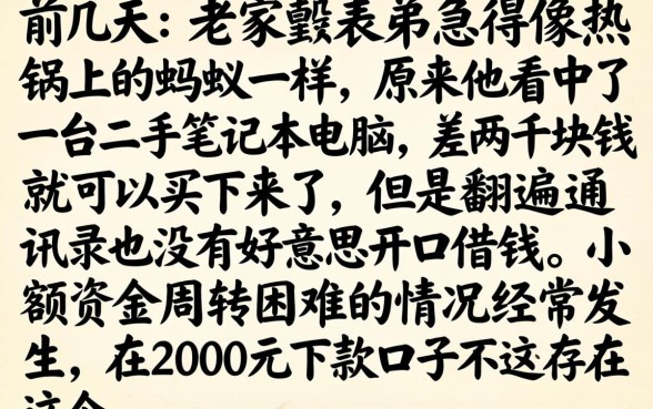 2000元下款口子真的存在吗，深入剖析五个无视征信黑白100%秒下口子