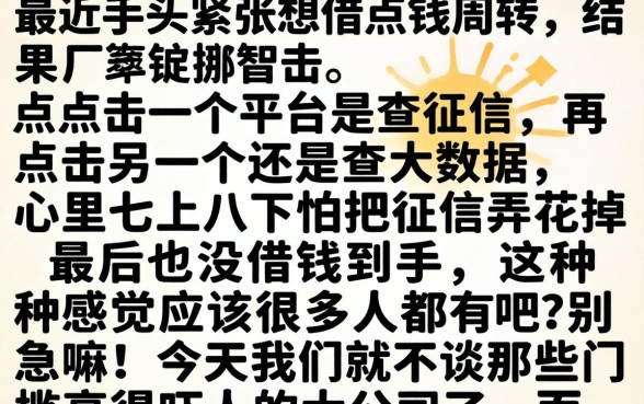 秒审核秒下款的新口子，概览五个不看征信查询的软件