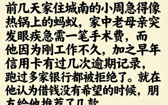 双黑色下面款的口子，详尽说明五个20岁借钱不求征信速借口子