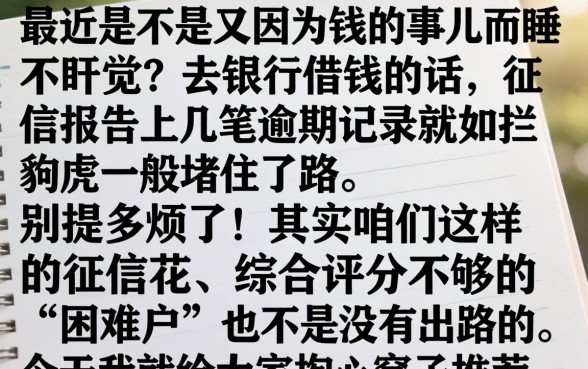 14天vip必下款的口子，条列5个综合评分不足也能下款的网贷