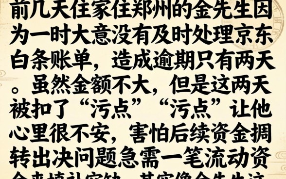 2026京东白条逾期2天，归集5个无视黑白贷款口子