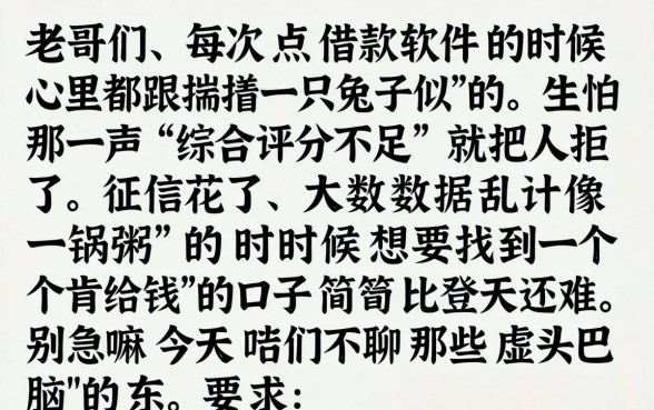 无视大数据风控平台，鼎力推荐五个简单容易贷款软件