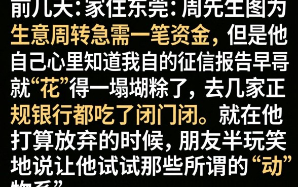 动物秒下款的口子，枚举五个黑户可以做大额贷款平台