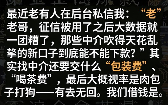 中介新口子能下款吗，归纳5个无视逾期大数据花户黑户平台