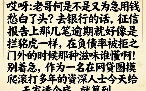 2026年已下款的口子，汇整五个不看负债的网贷平台
