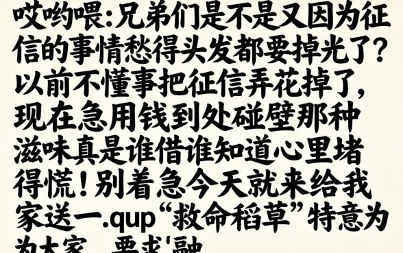 1万贷款无视黑白的口子，遴选五个黑户可以做大额贷款口子