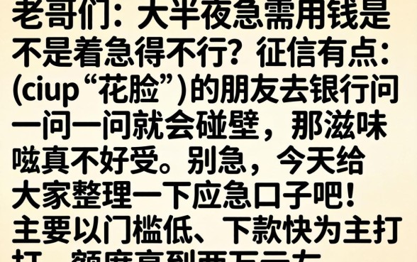 晚上能下款的口子很急，整合五个黑户借2万元秒下网贷口子app