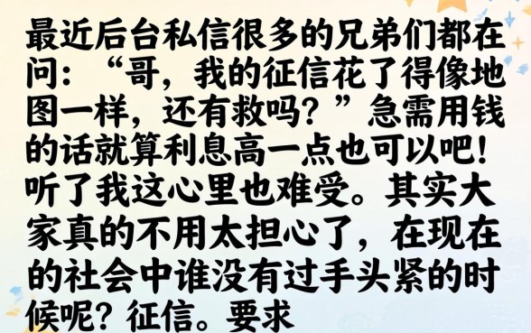 会员下款的口子大额，规整5个不看负债查询的口子