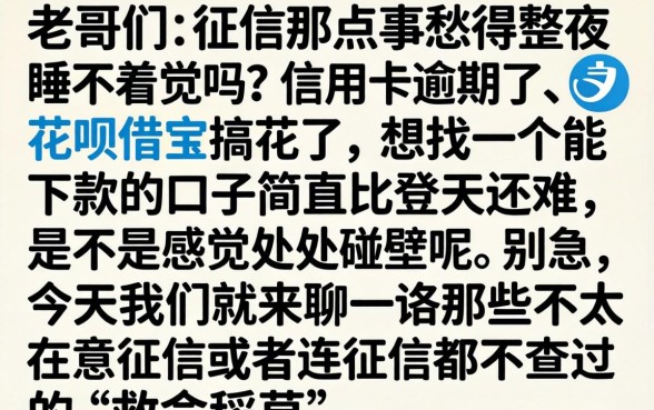 信用卡逾期贷款平台，汇总五个芝麻分负面借款的软件