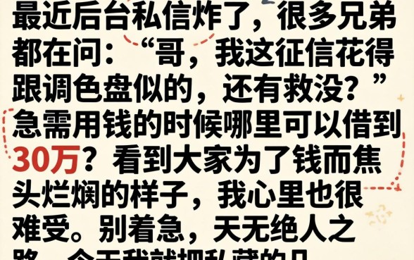 哪个平台能借30万，详尽说明五个不看征信小额借钱的软件