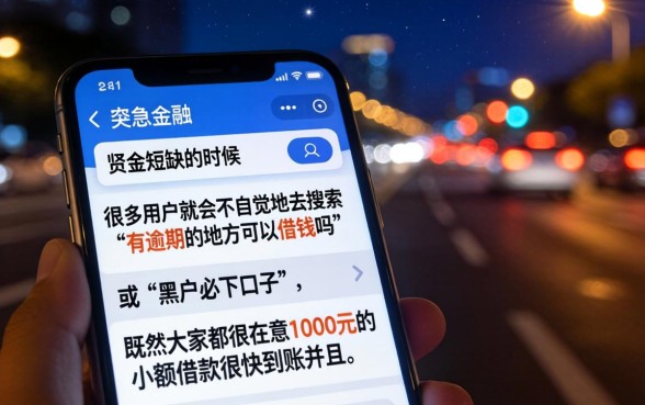 1000元小额借款快速，诚意推荐5个有逾期借款容易通过的平台