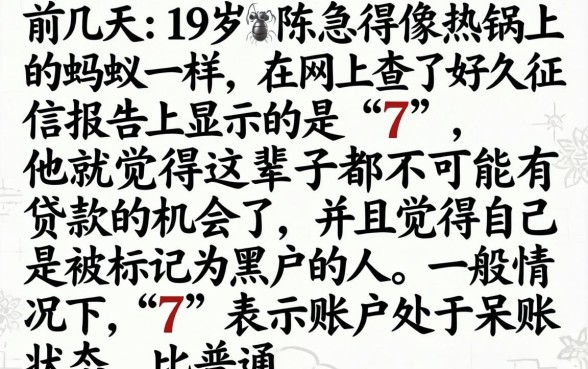 征信7是黑花了吗，条列五个18岁借款神器快速下款软件